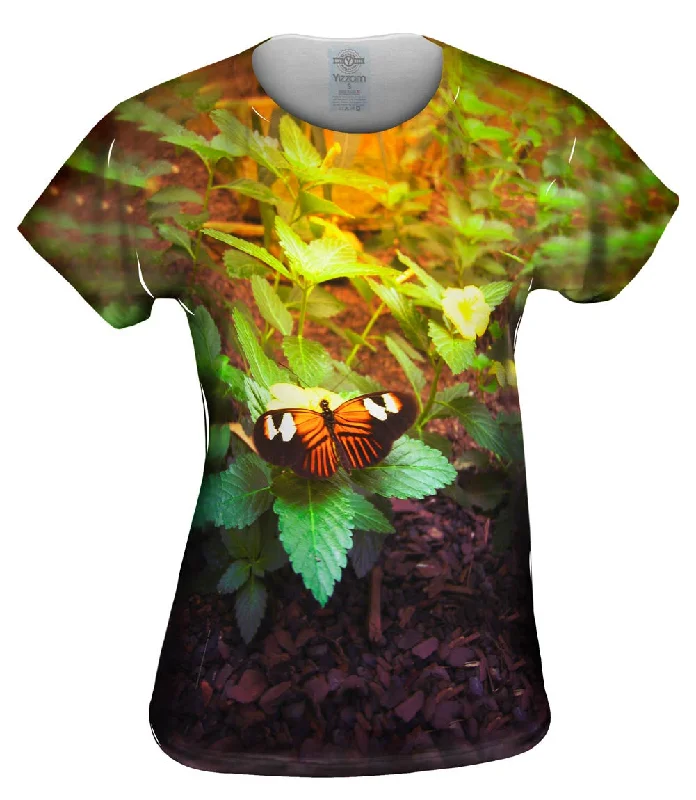 Weekend Savings Extravaganza Morning Butterfly