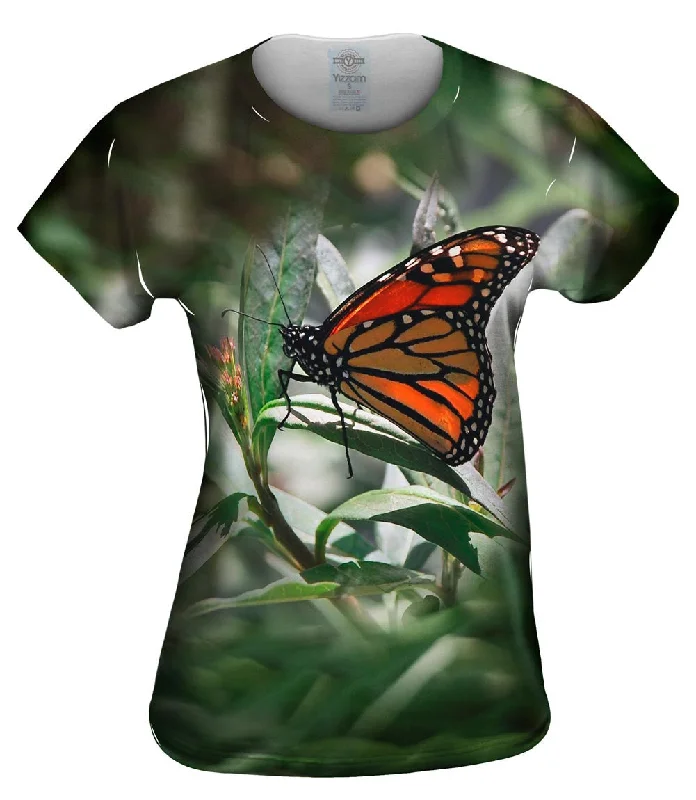 Exclusive Deal Mono Butterfly