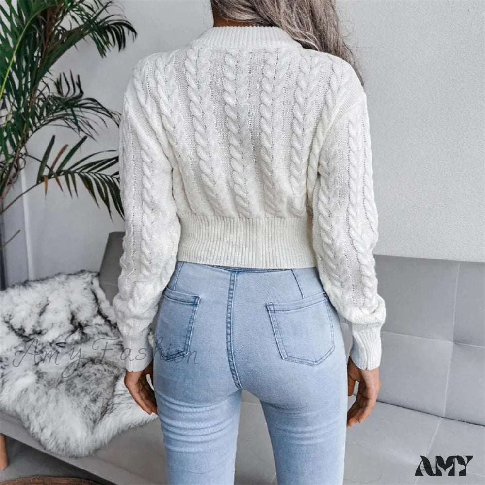 The Best Prices Women Solid Color Twisted Knitted Autumn Winter Fashion Long Sleeve Slim Fit Sweater
