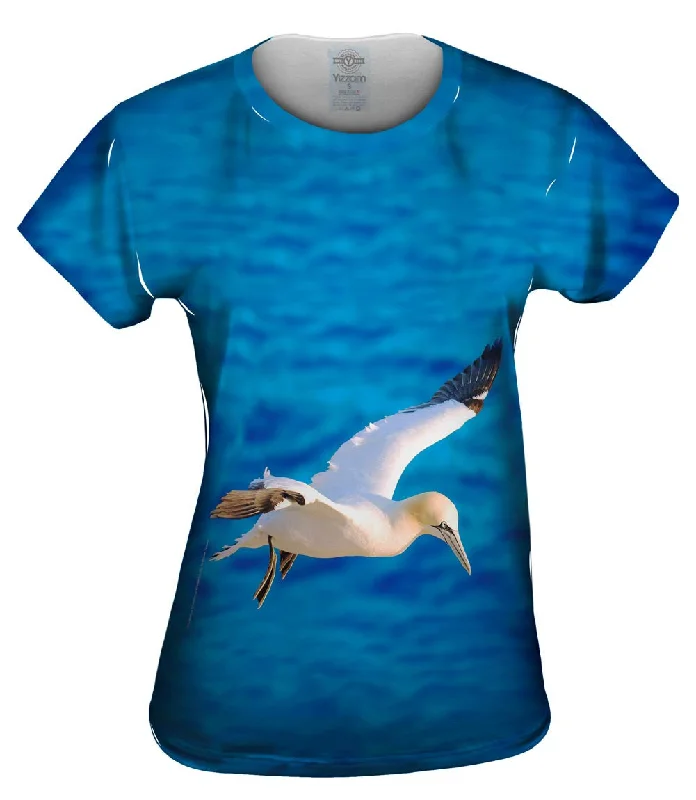 Weekend Offers That Impress Morus Bassanus Seagull Soar