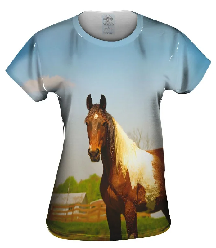 Weekend Discounts You Deserve Mountainous Brown White Horse