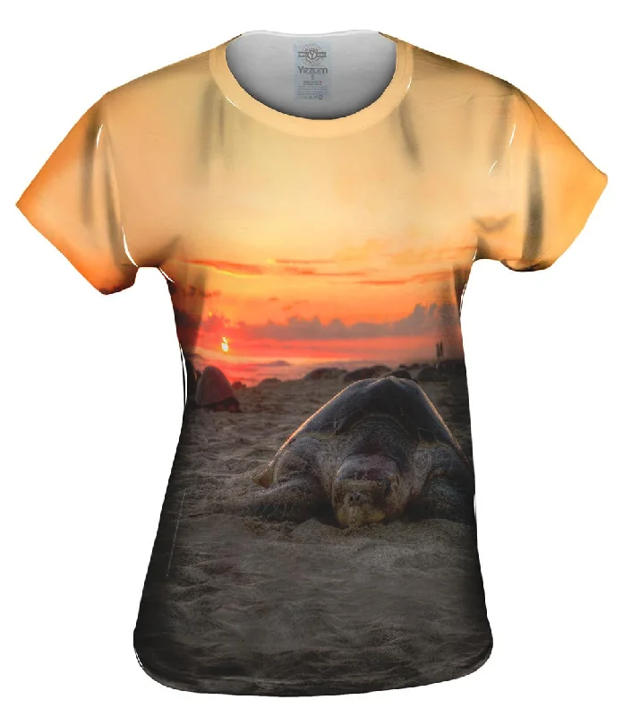 Deal of the Week Nesting Mexico Turtle Sunset