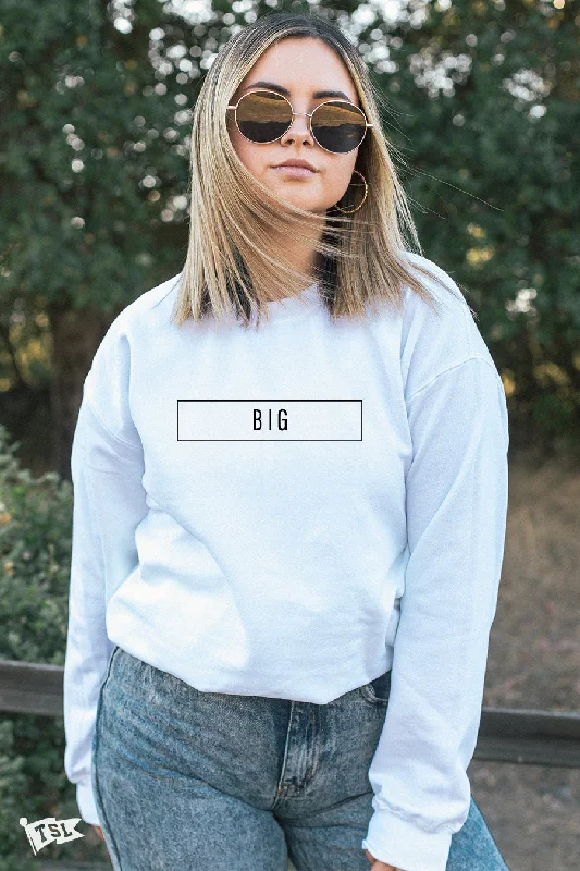 Discount Mania Big's Blocked Crewneck