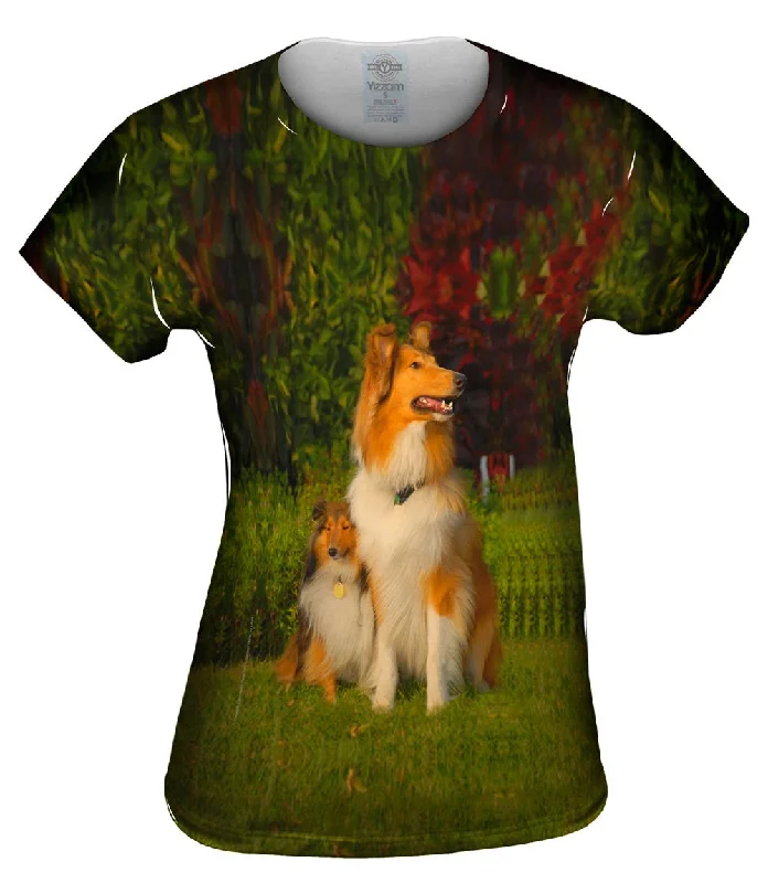 Savings Spectacular Momma Border Collie
